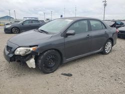 Salvage cars for sale from Copart Lawrenceburg, KY: 2009 Toyota Corolla Base