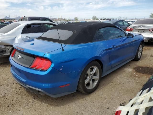 2019 Ford Mustang