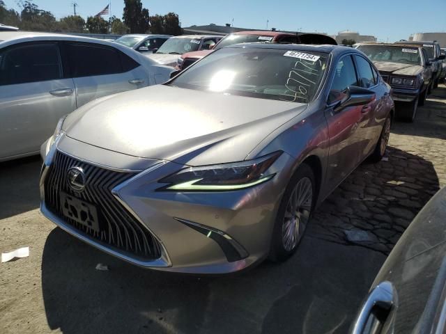 2019 Lexus ES 350