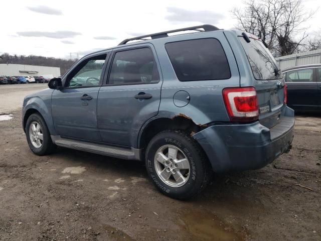 2010 Ford Escape XLT