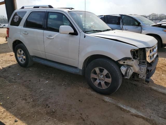 2009 Ford Escape Limited