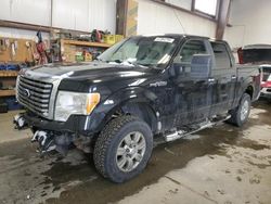 Salvage cars for sale at Nisku, AB auction: 2010 Ford F150 Supercrew