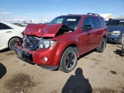 Ford Escape XLT salvage cars for sale: 2012 Ford Escape XLT