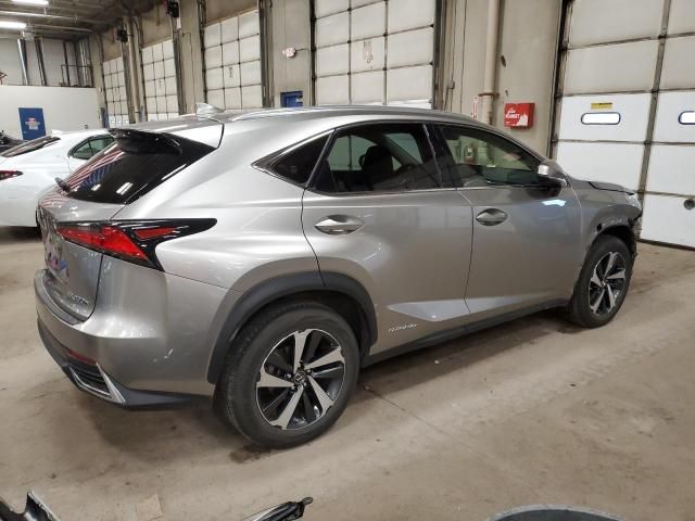 2019 Lexus NX 300H