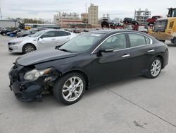 Salvage cars for sale at New Orleans, LA auction: 2013 Nissan Maxima S