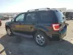 2010 Ford Escape Limited