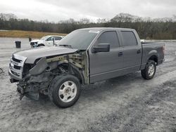 2013 Ford F150 Supercrew for sale in Cartersville, GA