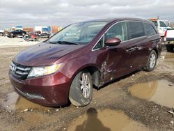 Salvage cars for sale from Copart Columbus, OH: 2014 Honda Odyssey EXL