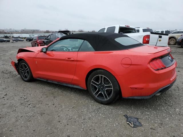 2019 Ford Mustang