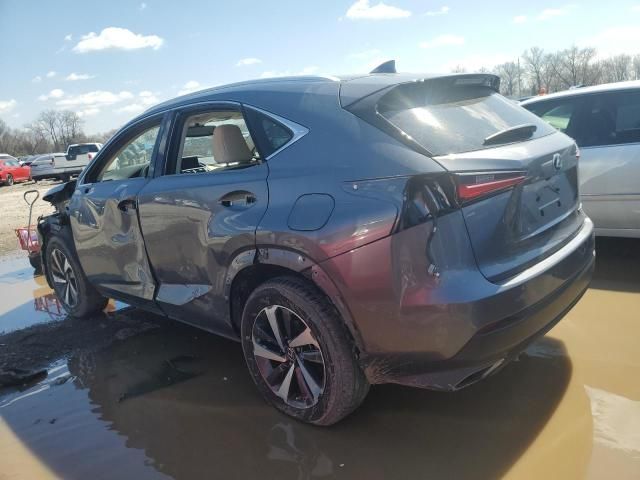 2019 Lexus NX 300 Base