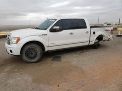 Salvage cars for sale at Albuquerque, NM auction: 2011 Ford F150 Supercrew