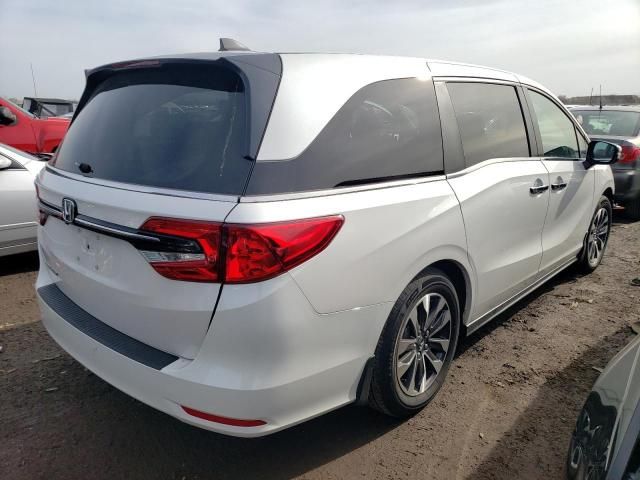 2023 Honda Odyssey EXL