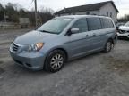 2009 Honda Odyssey EXL