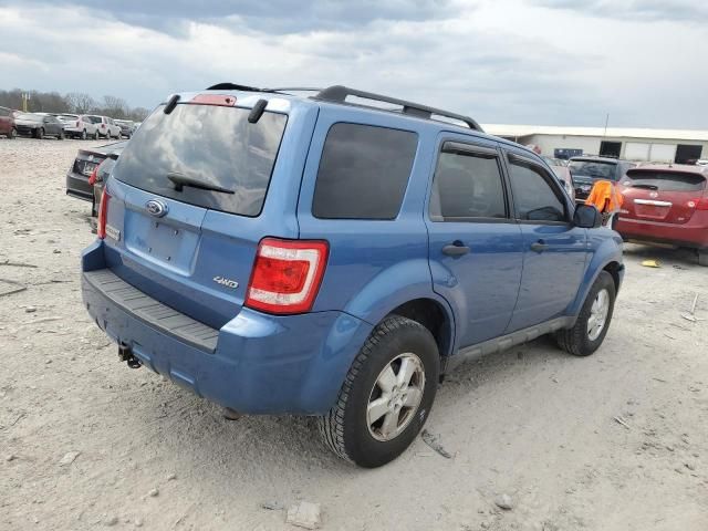 2009 Ford Escape XLT