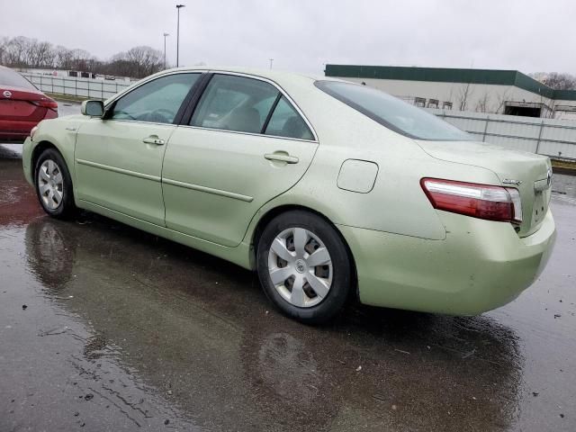 2009 Toyota Camry Hybrid