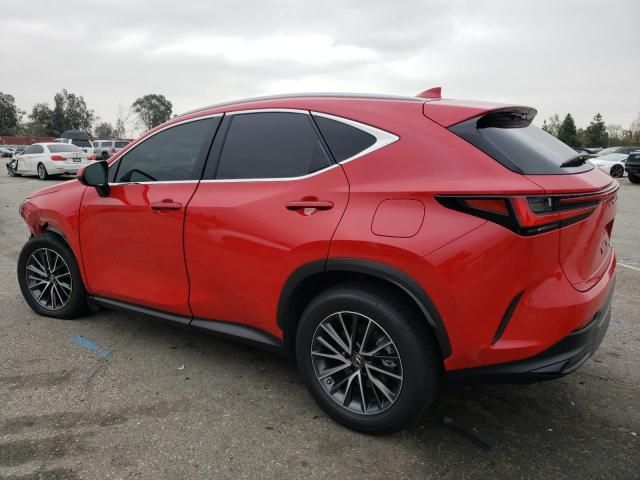 2022 Lexus NX 350H