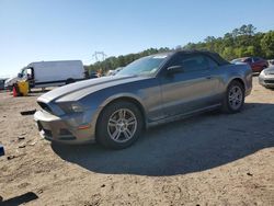 Salvage cars for sale at Greenwell Springs, LA auction: 2014 Ford Mustang