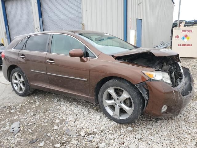 2010 Toyota Venza