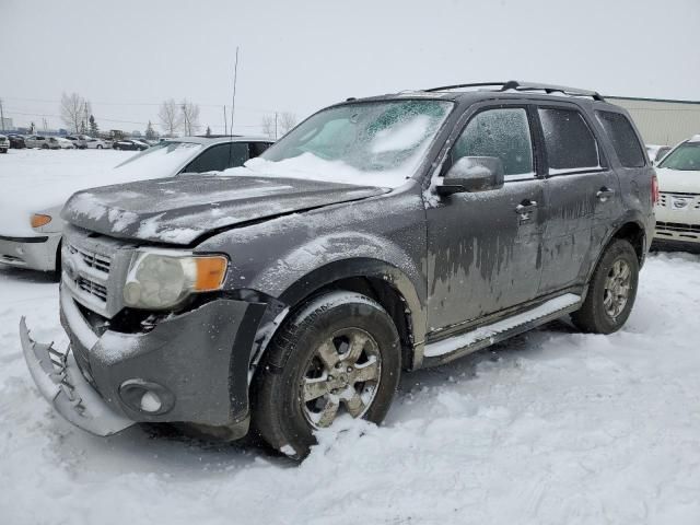 2009 Ford Escape Limited