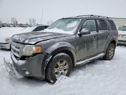 Salvage cars for sale from Copart Rocky View County, AB: 2009 Ford Escape Limited