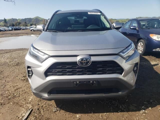 2023 Toyota Rav4 XLE Premium