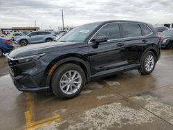 Salvage Cars with No Bids Yet For Sale at auction: 2024 Honda CR-V EXL