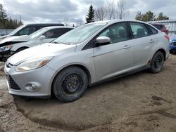 Salvage cars for sale at Bowmanville, ON auction: 2012 Ford Focus SE