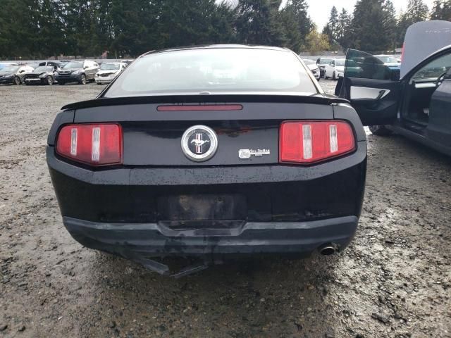 2010 Ford Mustang