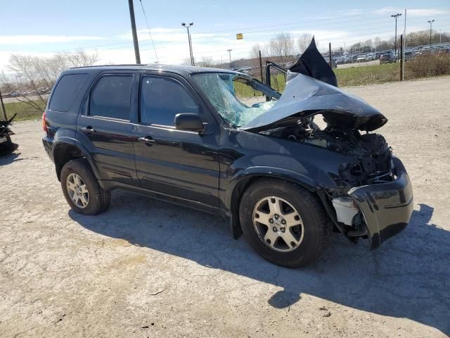 2004 Ford Escape Limited