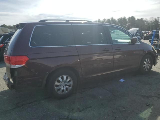 2010 Honda Odyssey EXL