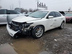 Salvage cars for sale from Copart Columbus, OH: 2010 Nissan Maxima S