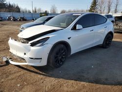 Salvage cars for sale from Copart Ontario Auction, ON: 2022 Tesla Model Y