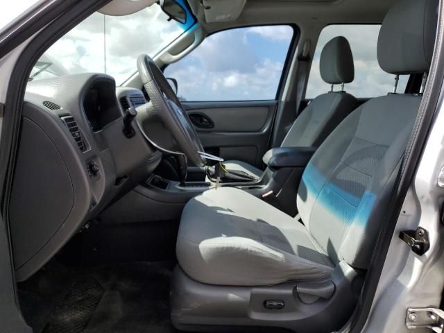 2007 Ford Escape XLT