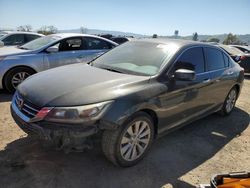 Salvage cars for sale at San Martin, CA auction: 2013 Honda Accord EX