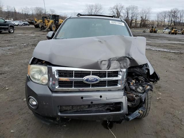 2011 Ford Escape Limited