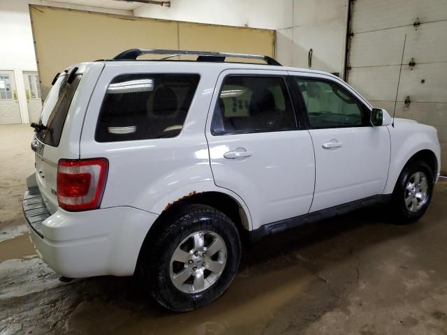 2011 Ford Escape Limited