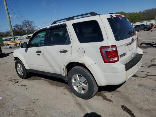 2011 Ford Escape XLT