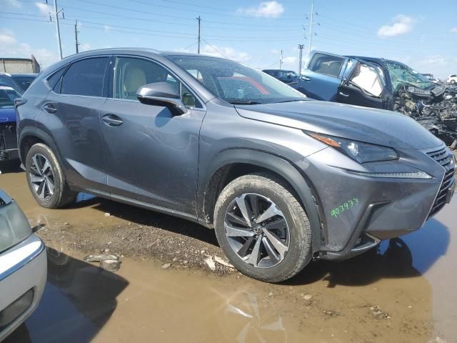 2019 Lexus NX 300 Base