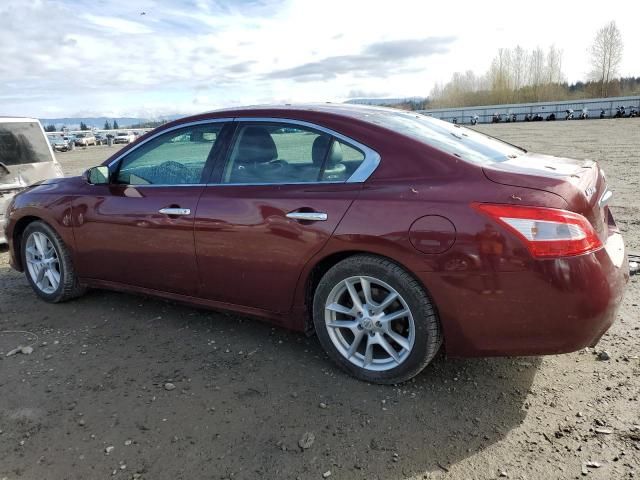 2010 Nissan Maxima S