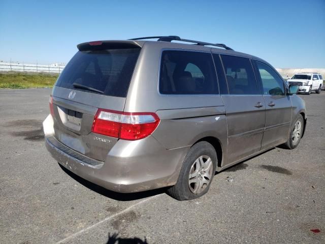 2005 Honda Odyssey EXL