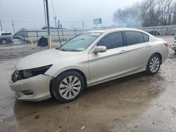 Honda Accord salvage cars for sale: 2013 Honda Accord EXL