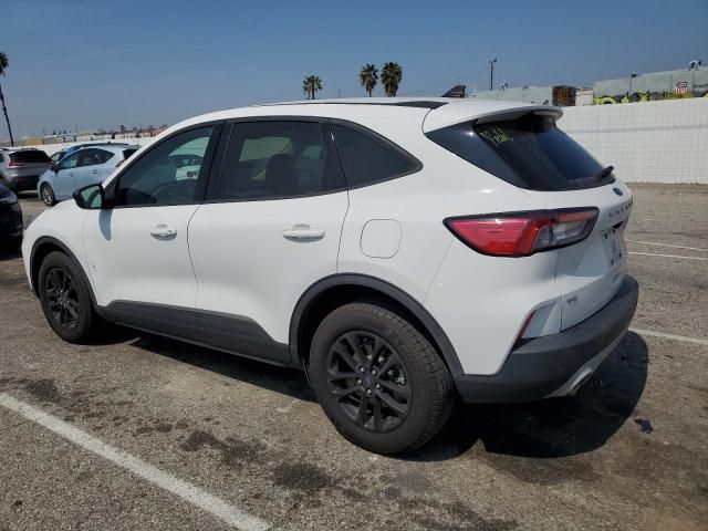 2020 Ford Escape SE Sport