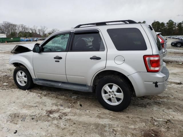 2009 Ford Escape XLT