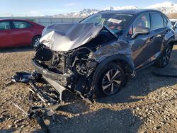 Salvage cars for sale at Magna, UT auction: 2021 Lexus NX 300 Base