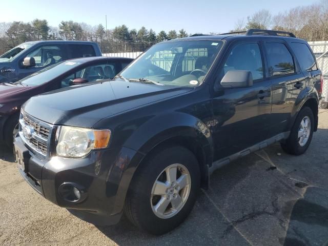 2011 Ford Escape XLT