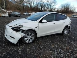 2023 Tesla Model Y for sale in Marlboro, NY