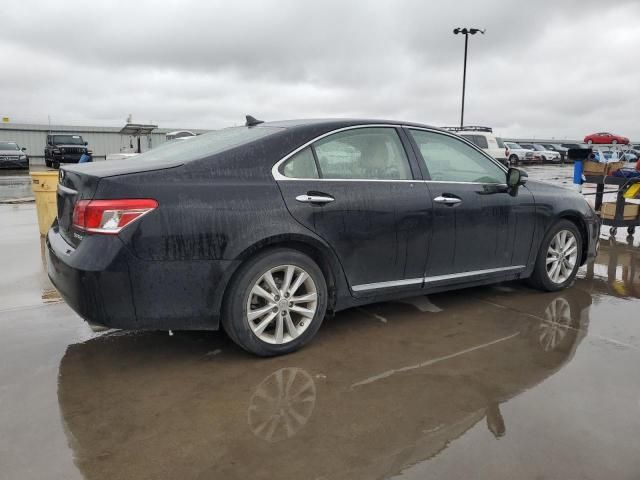 2010 Lexus ES 350