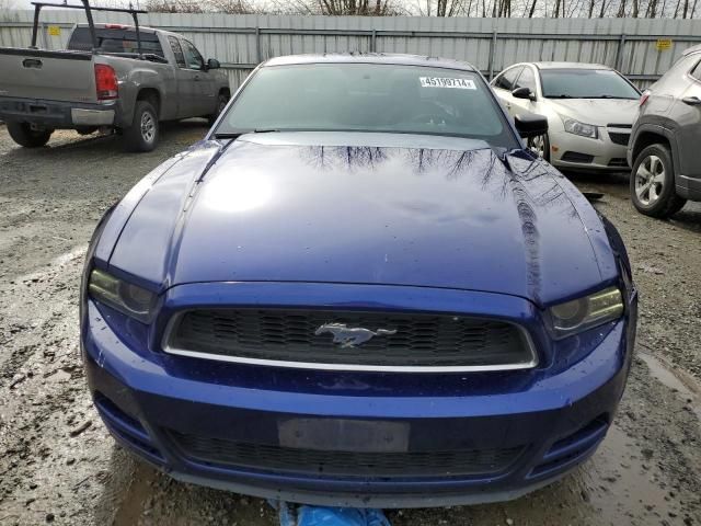 2013 Ford Mustang