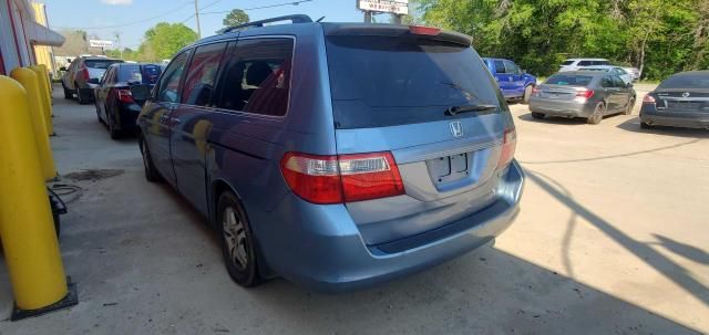 2005 Honda Odyssey EXL