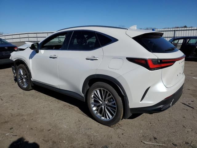 2022 Lexus NX 350H